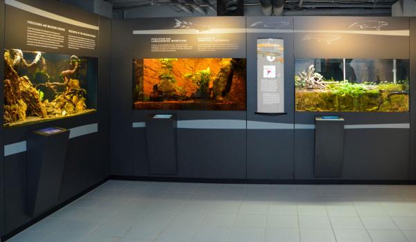 Terrarien Austellung / Aquarium-Zoologische-Forschungsmuseum-Alexander-König © Vewatech